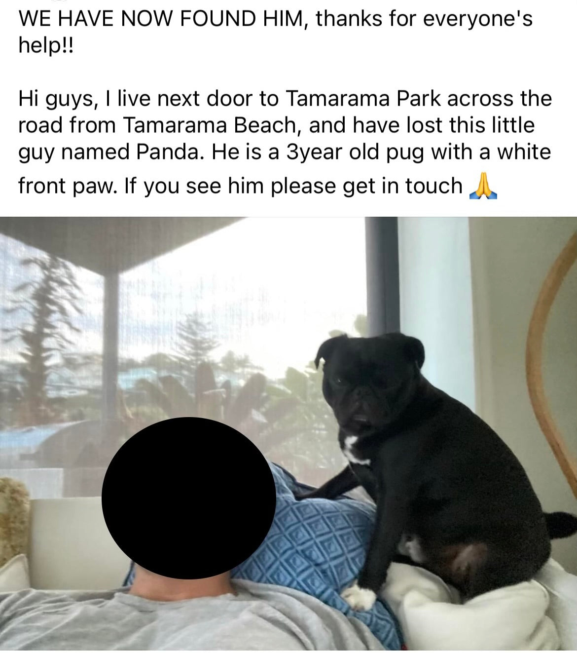 Smart NFC Pet Tag - No Battery - No APP - with Smart Passive Tracking